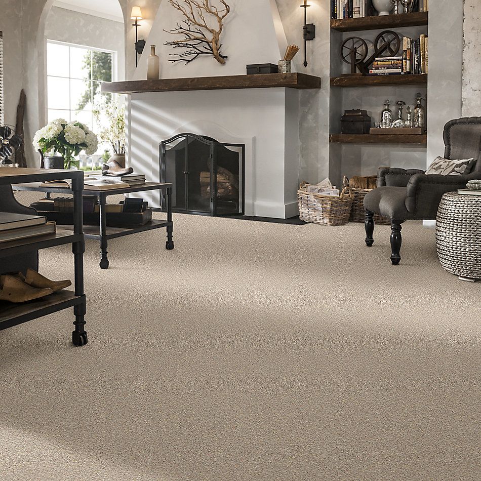 Shaw Floors Nfa/Apg Take the Floor Twist I Hickory 5.00E+14_00711