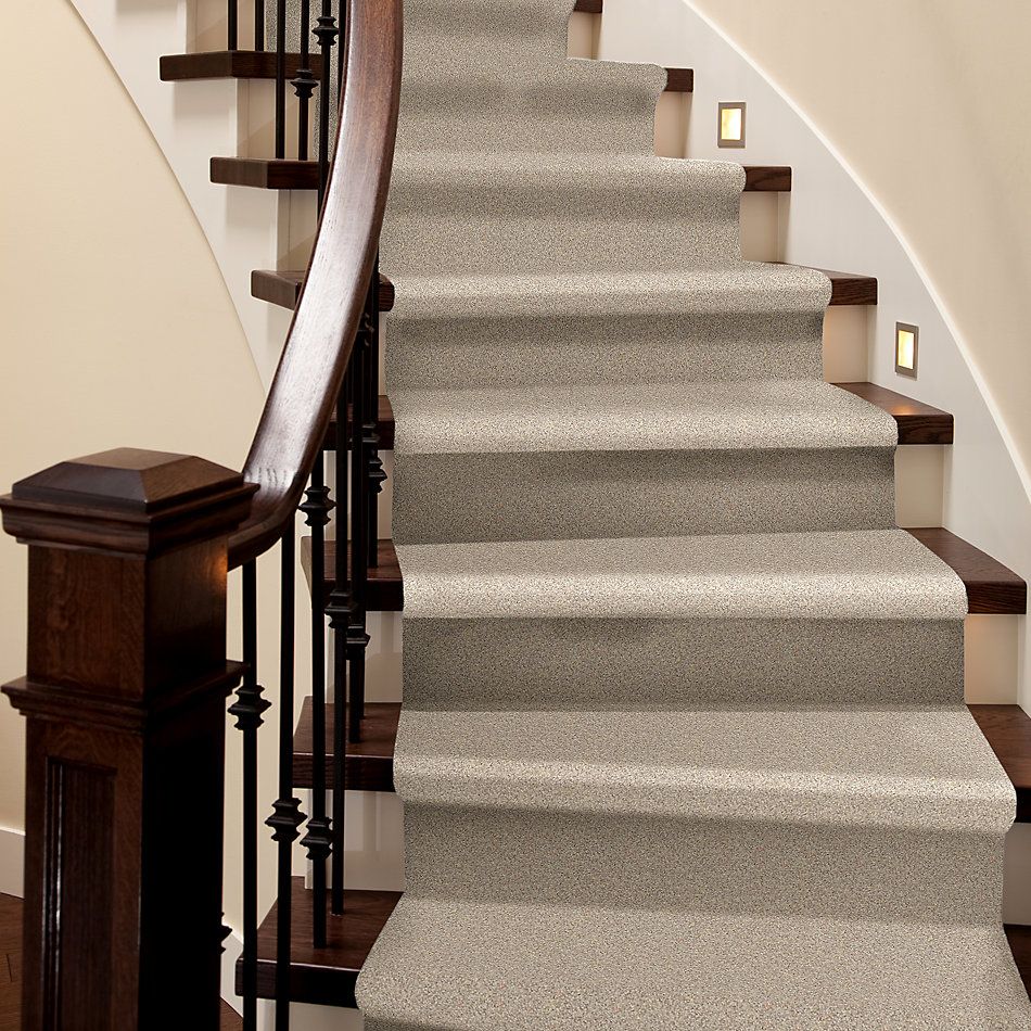 Shaw Floors Nfa/Apg Take the Floor Twist I Hickory 5.00E+14_00711