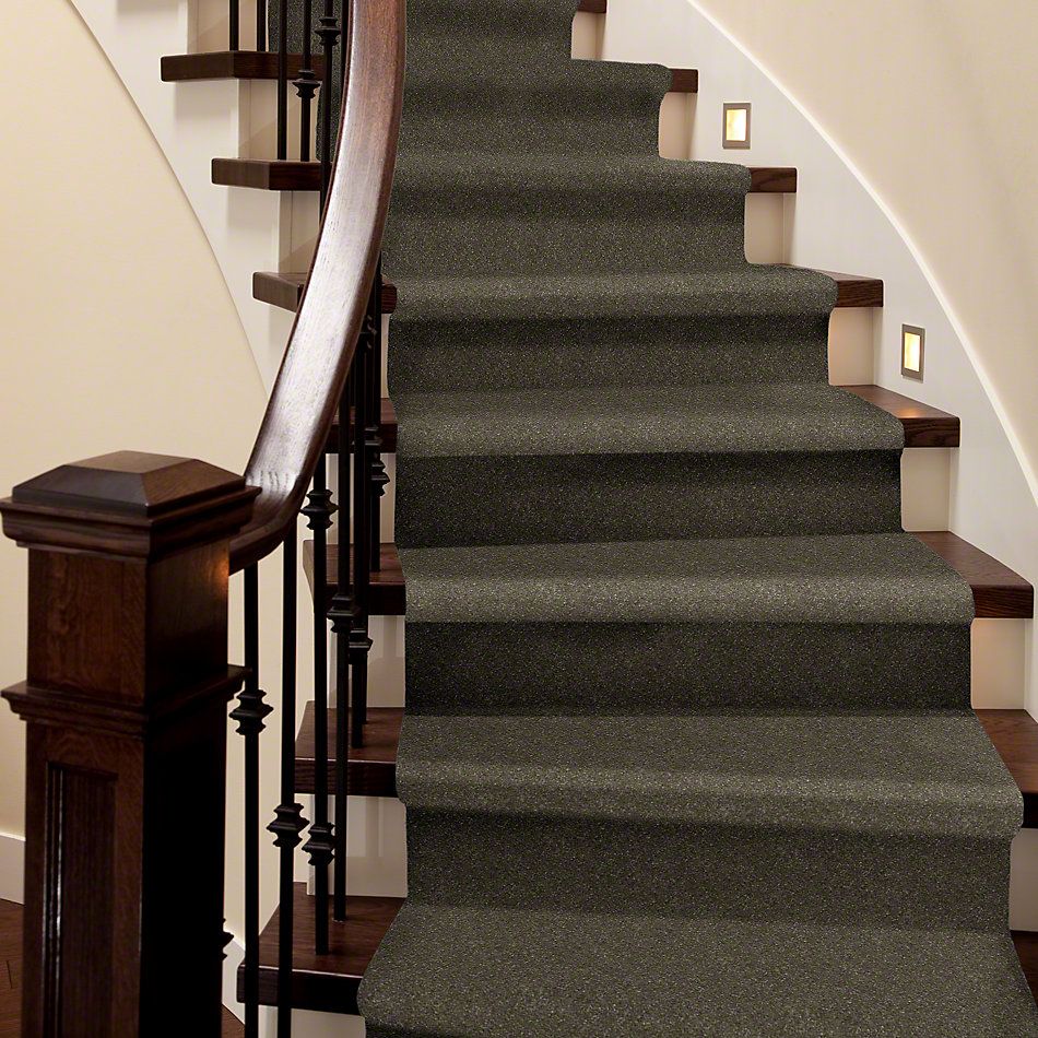 Shaw Floors Roll Special Xv436 Tree Bark 00711_XV436