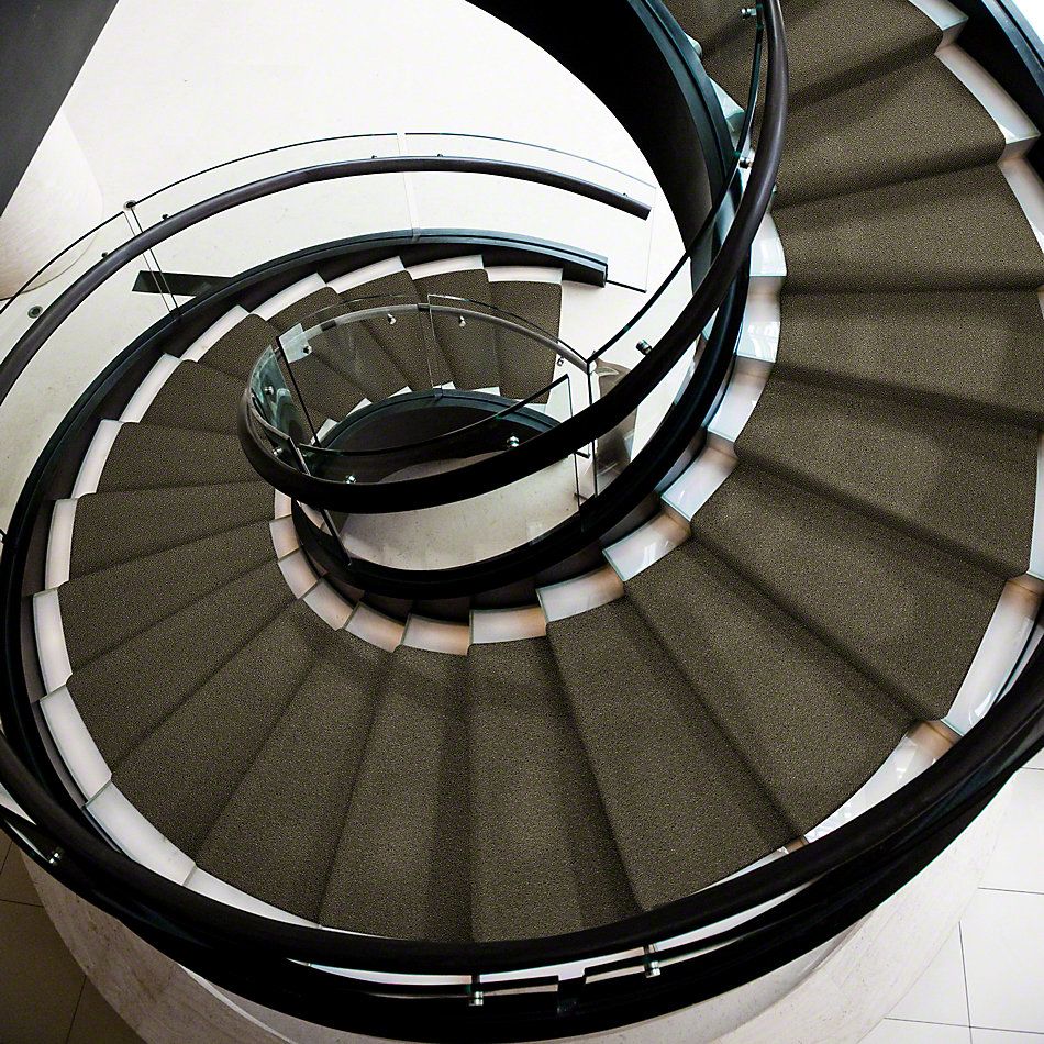 Anderson Tuftex Sasha Glorious 00712_Z6945