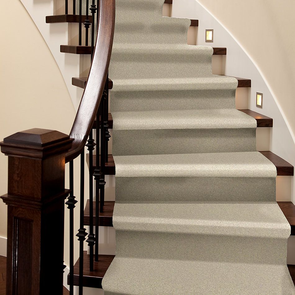 Shaw Floors Nfa/Apg Take the Floor Texture I Suitable 5.00E+05_00712