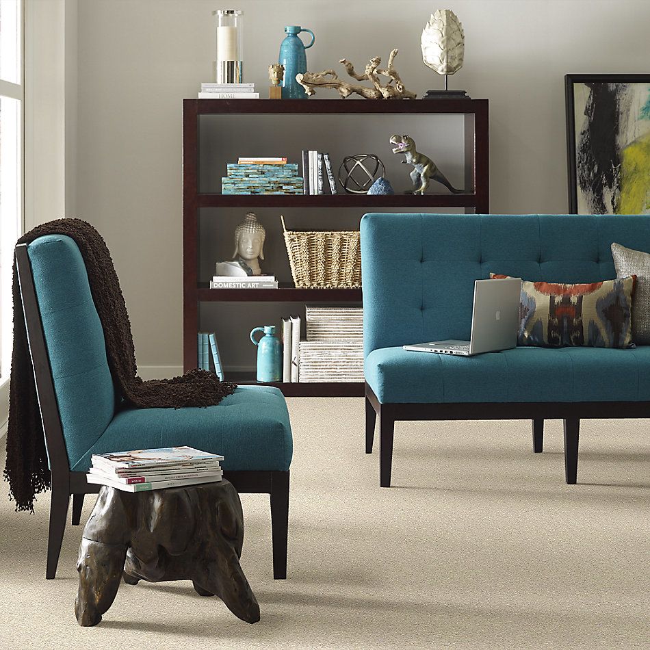 Shaw Floors Nfa/Apg Take the Floor Texture I Suitable 5.00E+05_00712