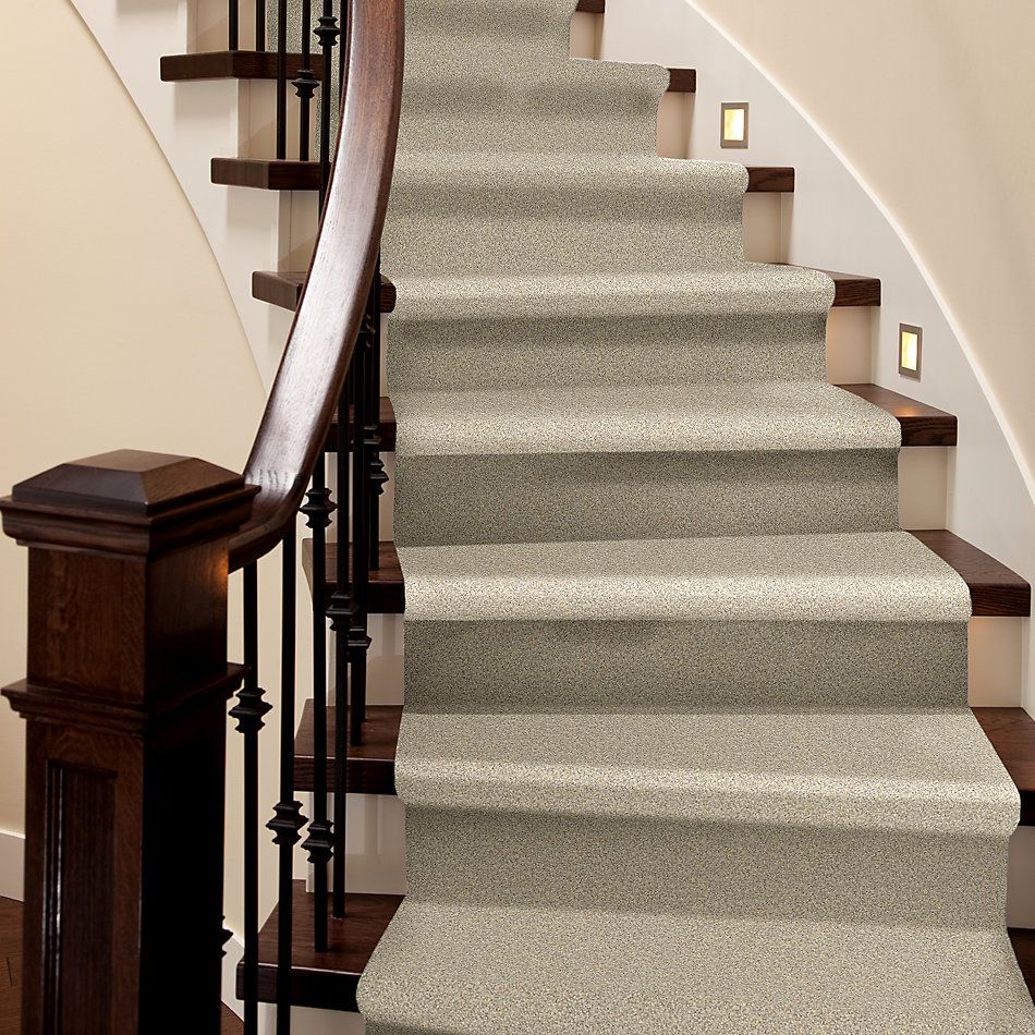Shaw Floors Nfa/Apg Take the Floor Twist I Suitable 5.00E+14_00712