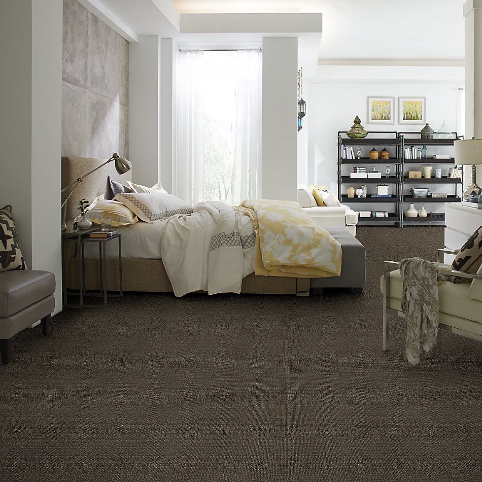 Shaw Floors Nfa/Apg Breakthrough Graphite 52K72_00712