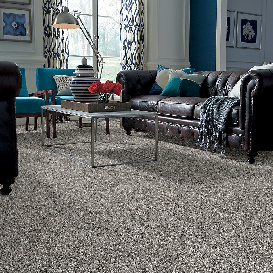 Shaw Floors Value Collections Poised Net Flannel Gray 00713_5E102