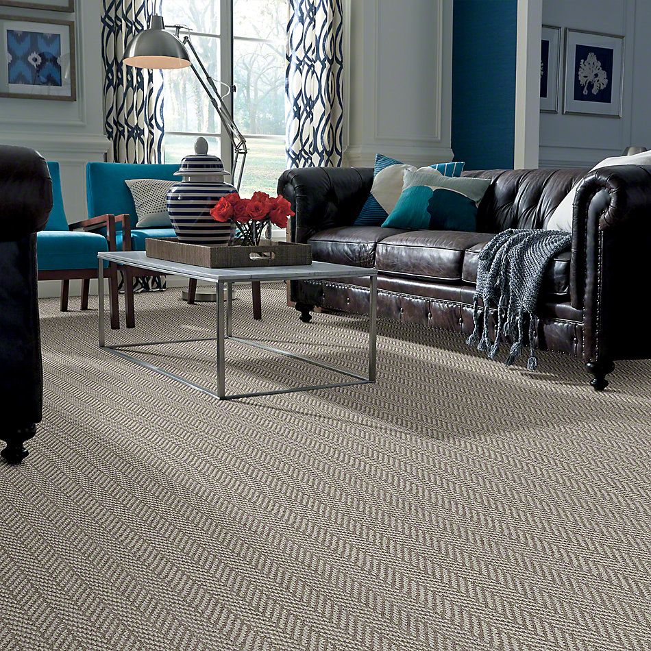 Shop Anderson Tuftex Only Natural Ii Brownstone 00713 Zz010 Carpet Carpet Advantage Company Inc