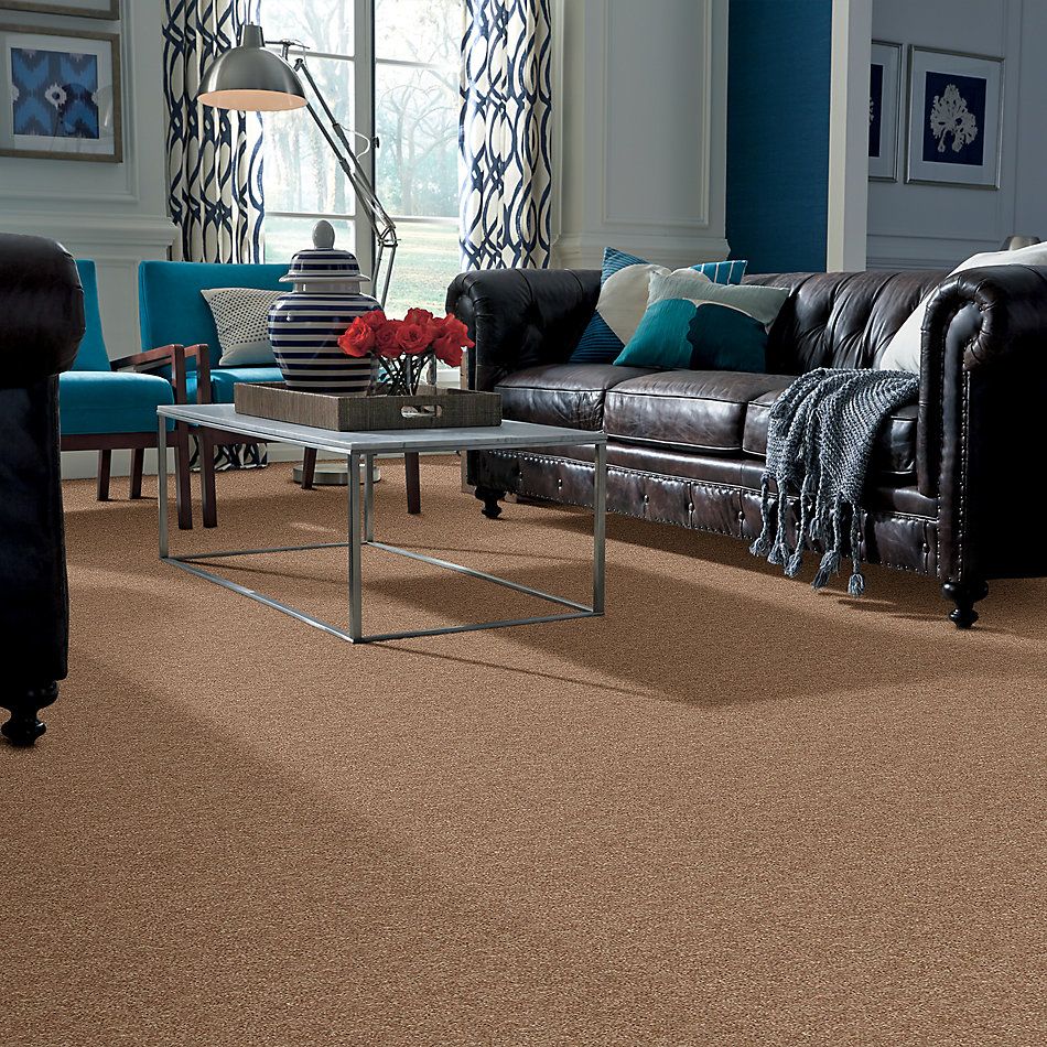 Shaw Floors Value Collections Take Away (s) Net Dakota 00714_5E479