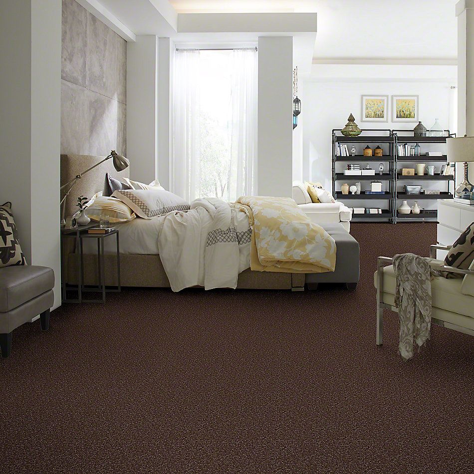 Shaw Floors Home Foundations Gold Favorite Choice 12′ Montana 00714_HGL45