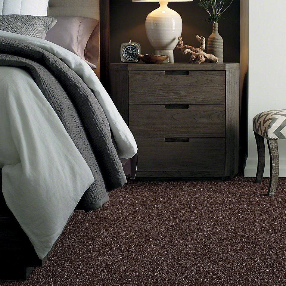 Shaw Floors Property Solutions Falcon Caribou 00714_PS590