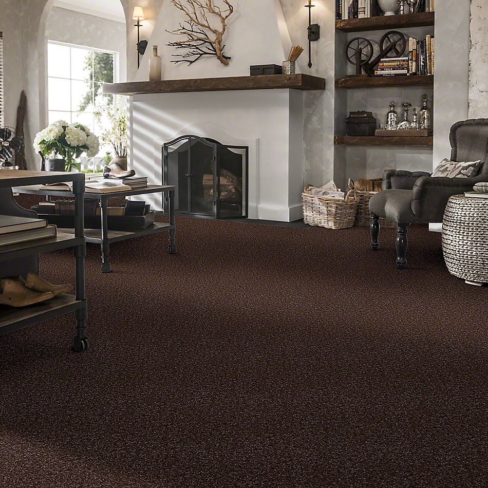 Shaw Floors Property Solutions Falcon Caribou 00714_PS590
