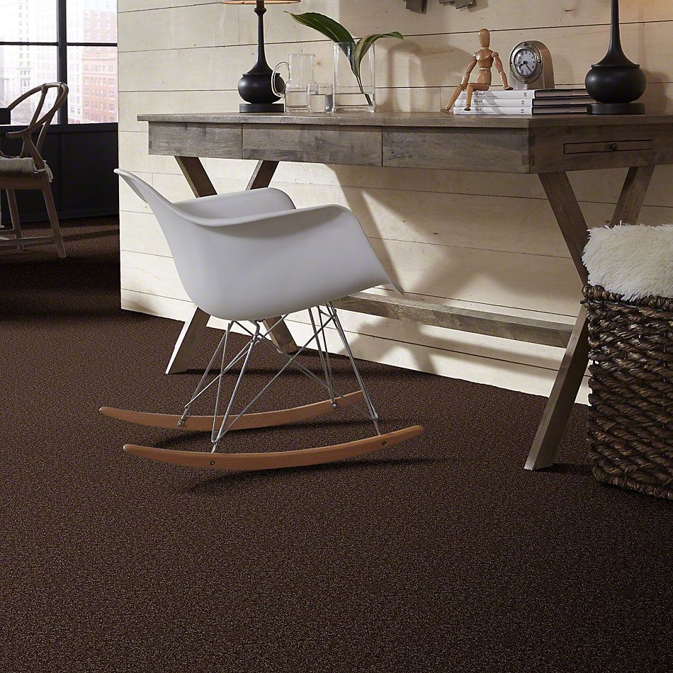Shaw Floors Property Solutions Falcon Caribou 00714_PS590