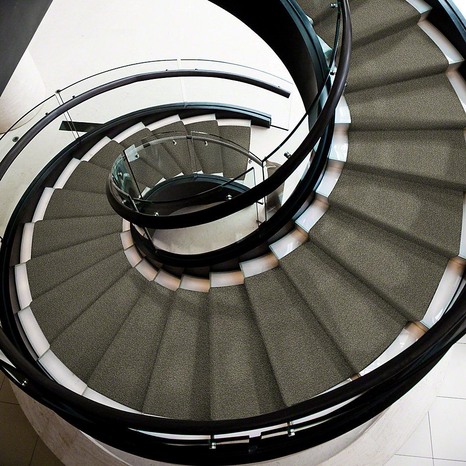 Anderson Tuftex Sasha Before Dark 00716_Z6945