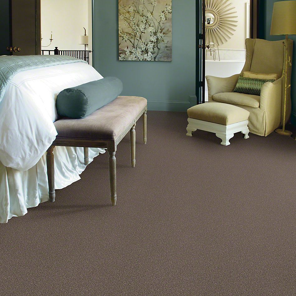 Shaw Floors Value Collections Sweet Life Net Saddle 00718_E9124