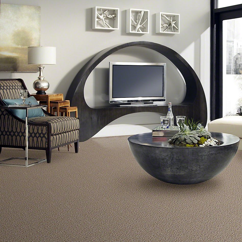 Shaw Floors Guess Work (b) Thatch 52U00_00720