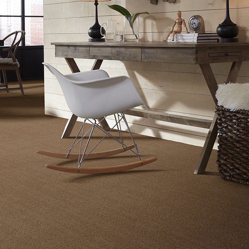 Shaw Floors Foundations Alluring Canvas Net Raw Wood 00720_5E476