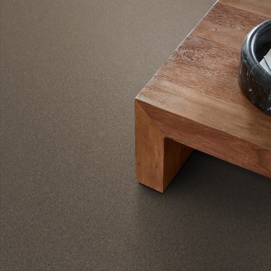 Shaw Floors Property Essentials Forest City II 12 River Slate 00720_732F5