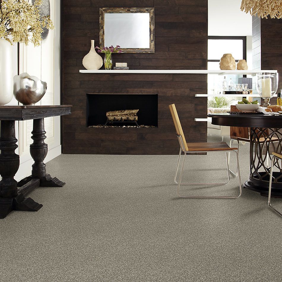 Shaw Floors Value Collections Shake It Up Tonal Net Barely There 00720_E9859