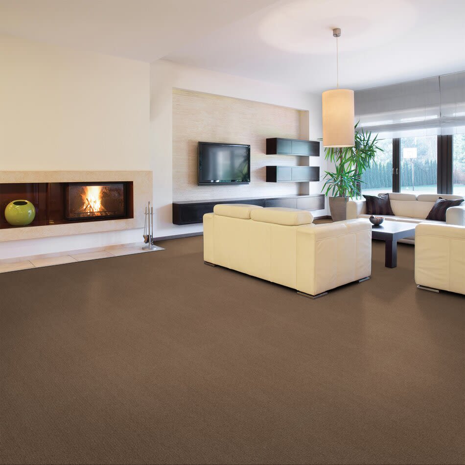 Shaw Floors Nfa Rare Find Raw Wood 00720_NA526