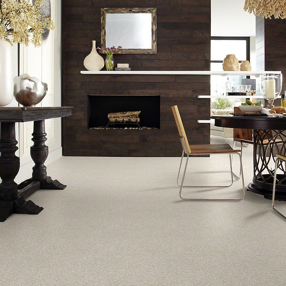 Shaw Floors Simply The Best After All II Net Pebble Creek 00721_5E054