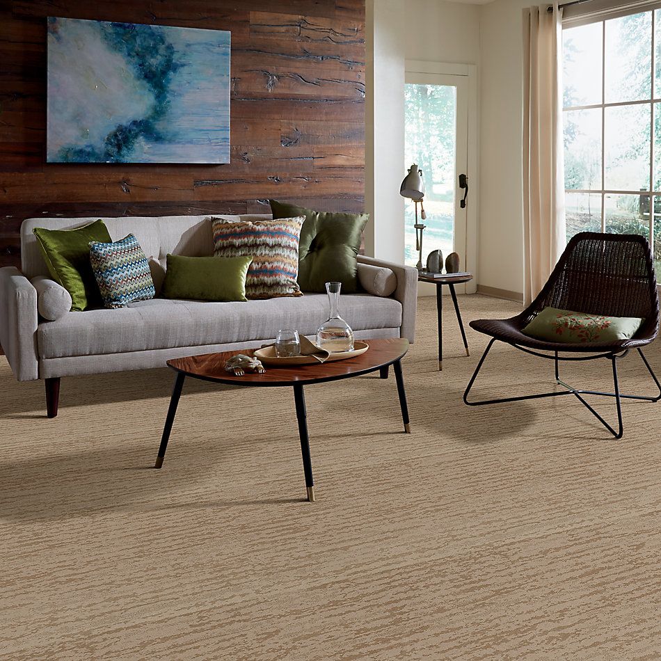 Shaw Floors Value Collections Winter Solace Net Natural Beauty 00721_5E369