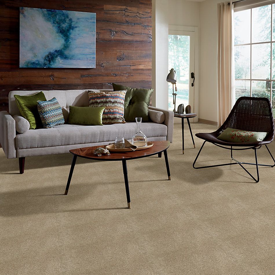 Shaw Floors SFA Cashmere I Lg Pecan Bark 00721_CC09B