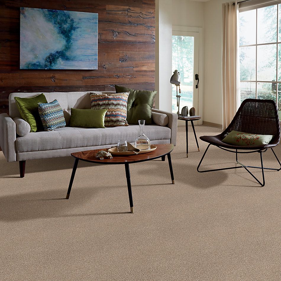 Shaw Floors Caress By Shaw Cozy Harbor II Natural Beauty 00721_CC79B