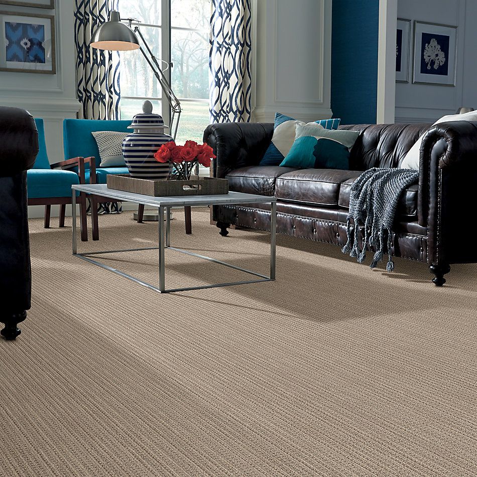 Shaw Floors Caress By Shaw Subtle Aura Natural Beauty 00721_CC84B