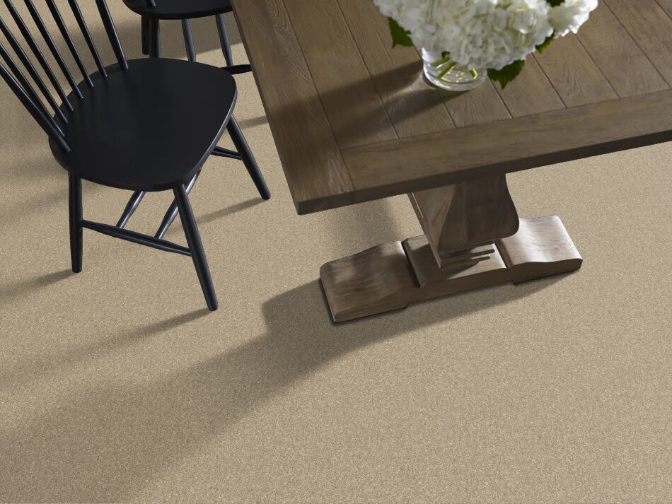 Shaw Floors Value Collections Cashmere Classic I Net Pecan Bark 00721_E9922