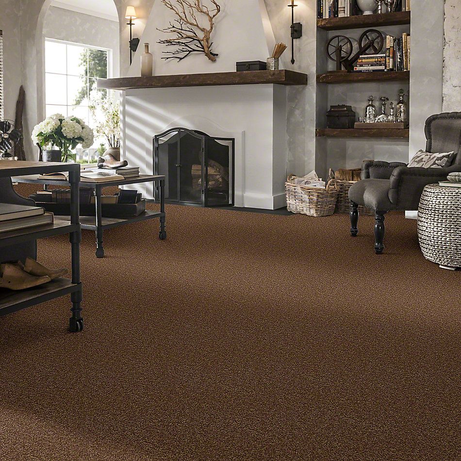 Shaw Floors SFA Drexel Hill II 15′ Desert Sunrise 00721_EA052