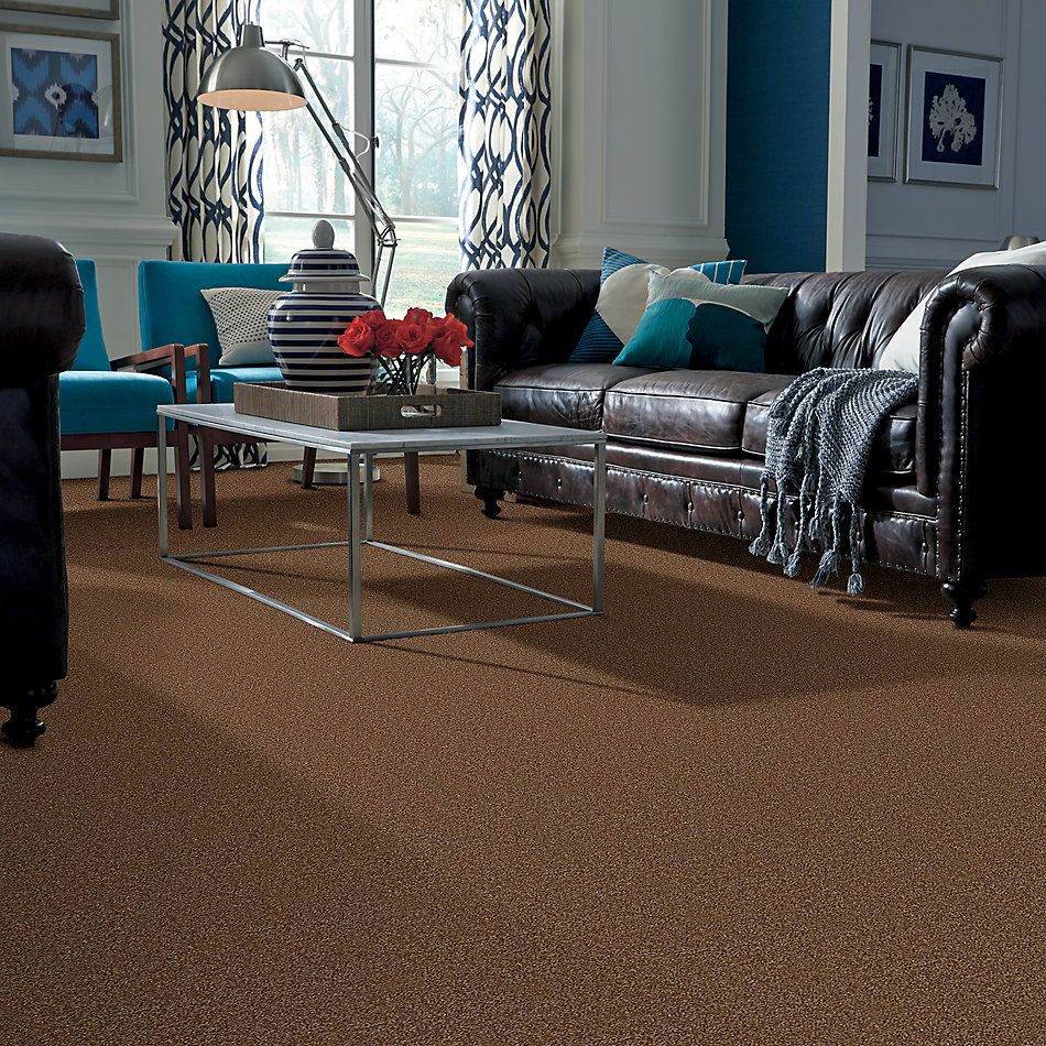 Shaw Floors Roll Special Qs216 Desert Sunrise 00721_QS216