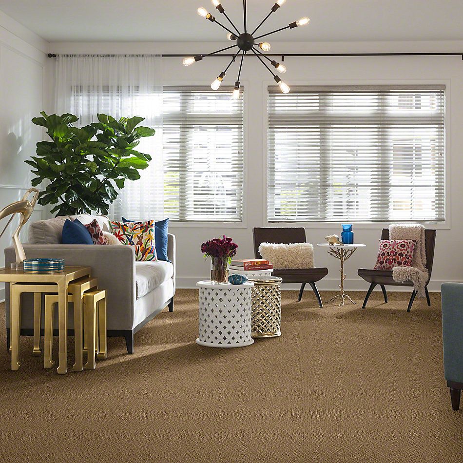 Shaw Floors Shaw Flooring Gallery Supreme Comfort Loop Honey Pot 00722_5469G