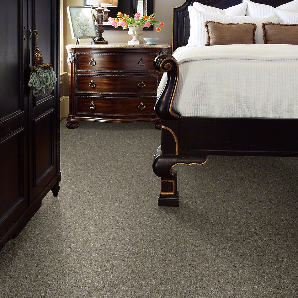 Shaw Floors Simply The Best After All I Net Rustic Taupe 00722_5E053