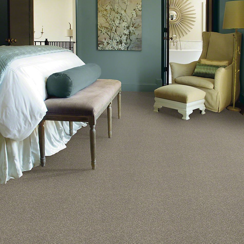 Shaw Floors Simply The Best After All II Net Rustic Taupe 00722_5E054