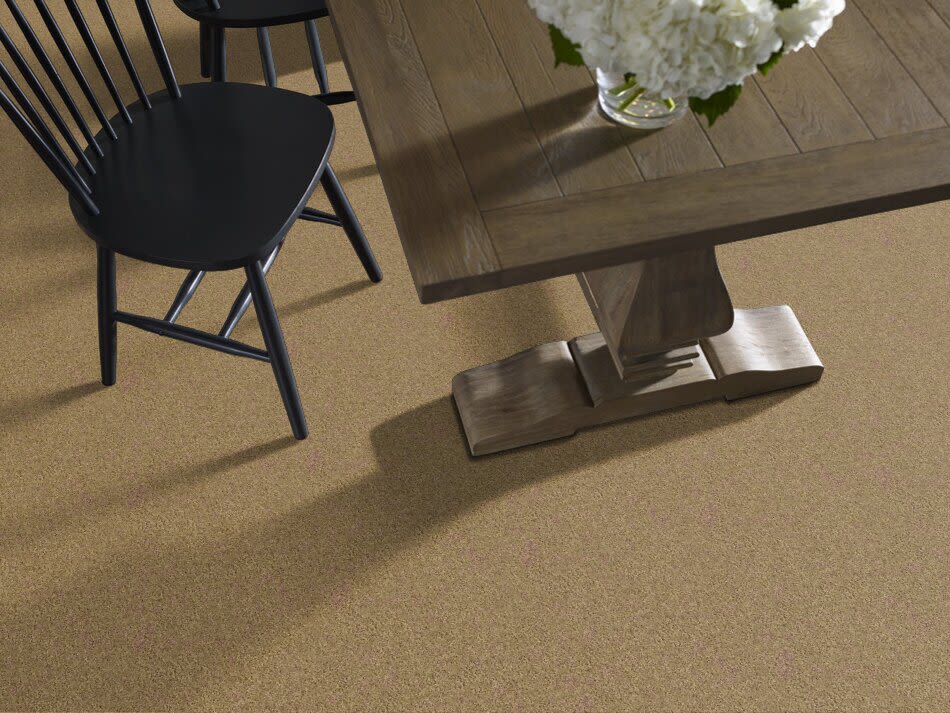 Shaw Floors Ultratouch Anso Exalted Beauty III Honey Pot 00722_748Z5