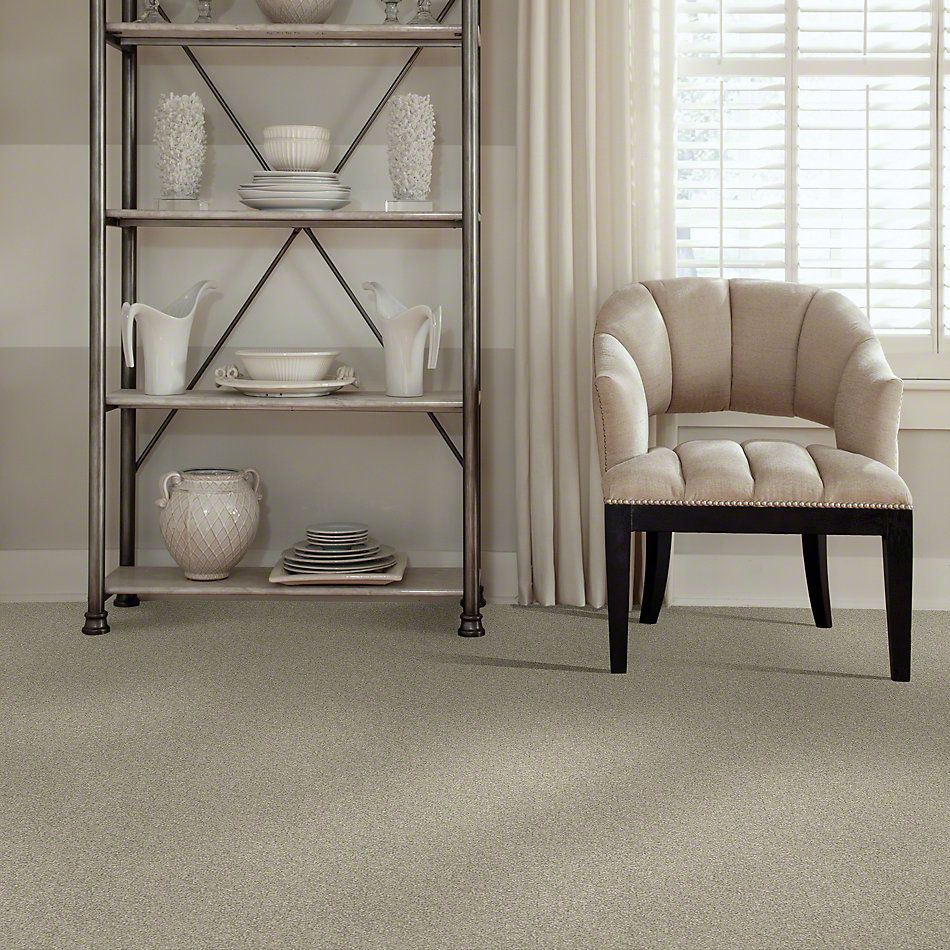 Shaw Floors Value Collections Platinum Texture 12′ Net Warm Oatmeal 00722_E9326