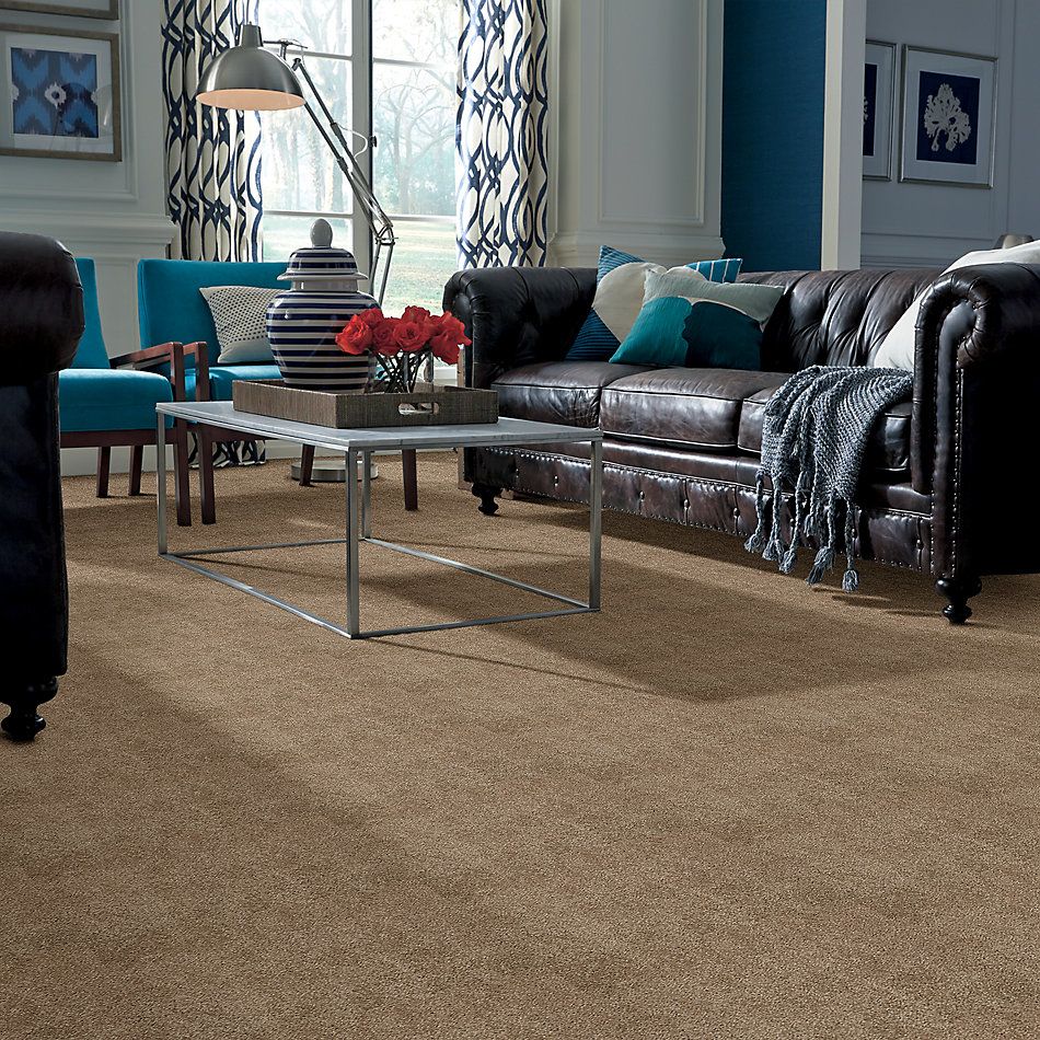Shaw Floors Caress By Shaw Cashmere I Lg Pebble Path 00722_CC09B