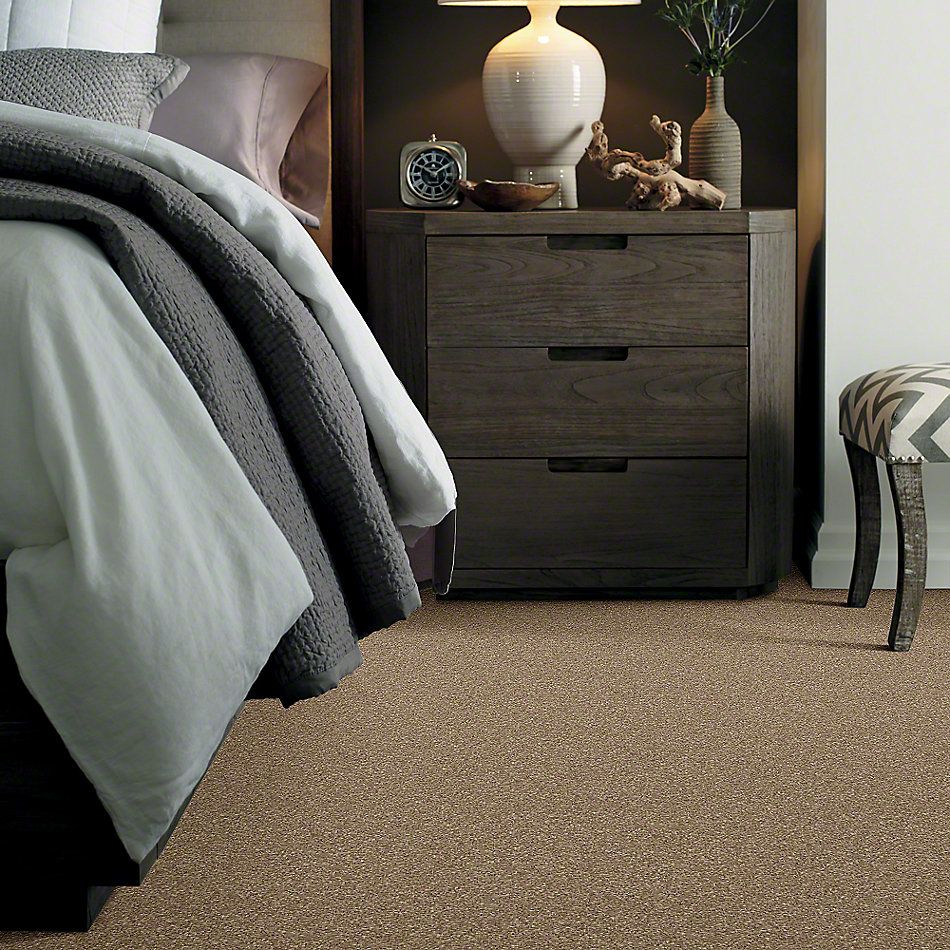 Shaw Floors Caress By Shaw Quiet Comfort Classic I Pebble Path 00722_CCB96