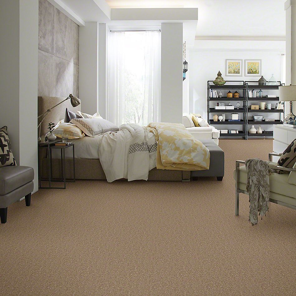 Shaw Floors Caress By Shaw Quiet Comfort Classic II Pebble Path 00722_CCB97