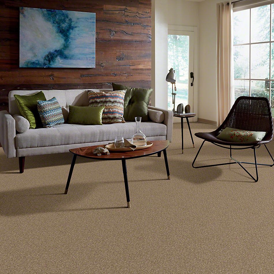 Shaw Floors Caress By Shaw Quiet Comfort Classic Iv Pebble Path 00722_CCB99