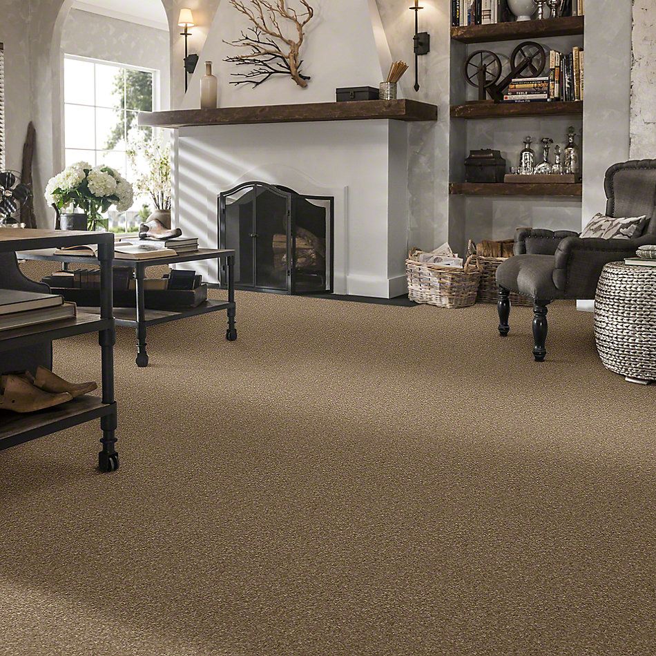 Shaw Floors Caress By Shaw Cashmere Classic I Pebble Path 00722_CCS68