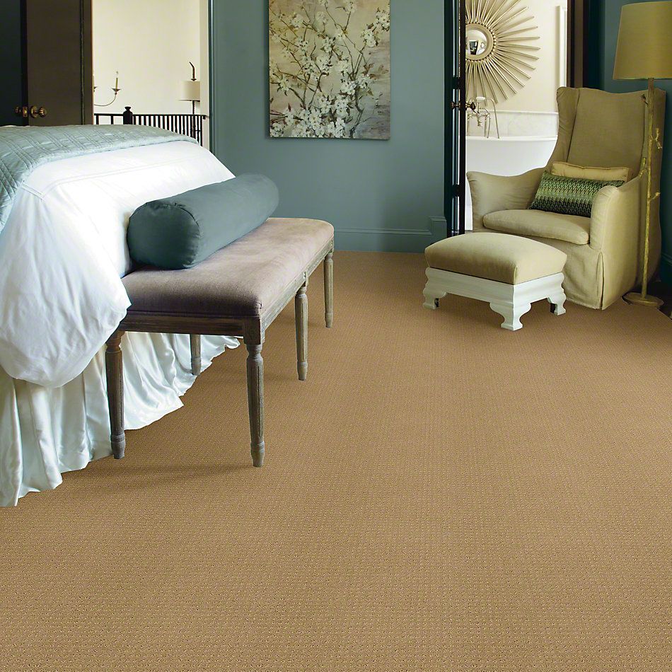 Shaw Floors Enduring Comfort Pattern Honey Pot 00722_E0404
