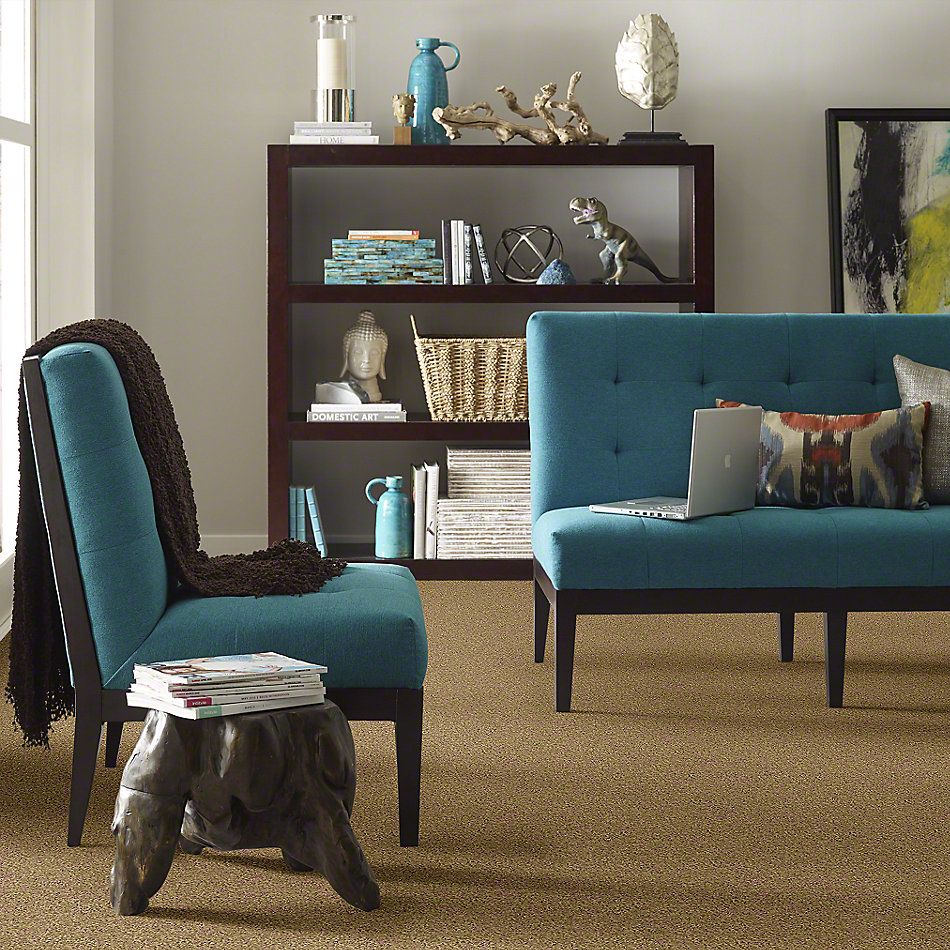 Shaw Floors My Choice II Honey Pot 00722_E0651