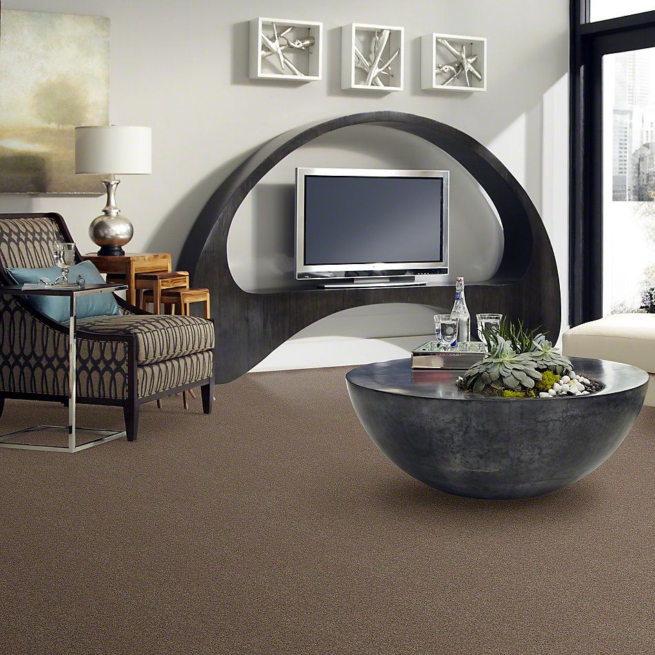 Shaw Floors Anso Colorwall Design Texture Gold Iced Coffee 00723_52T72
