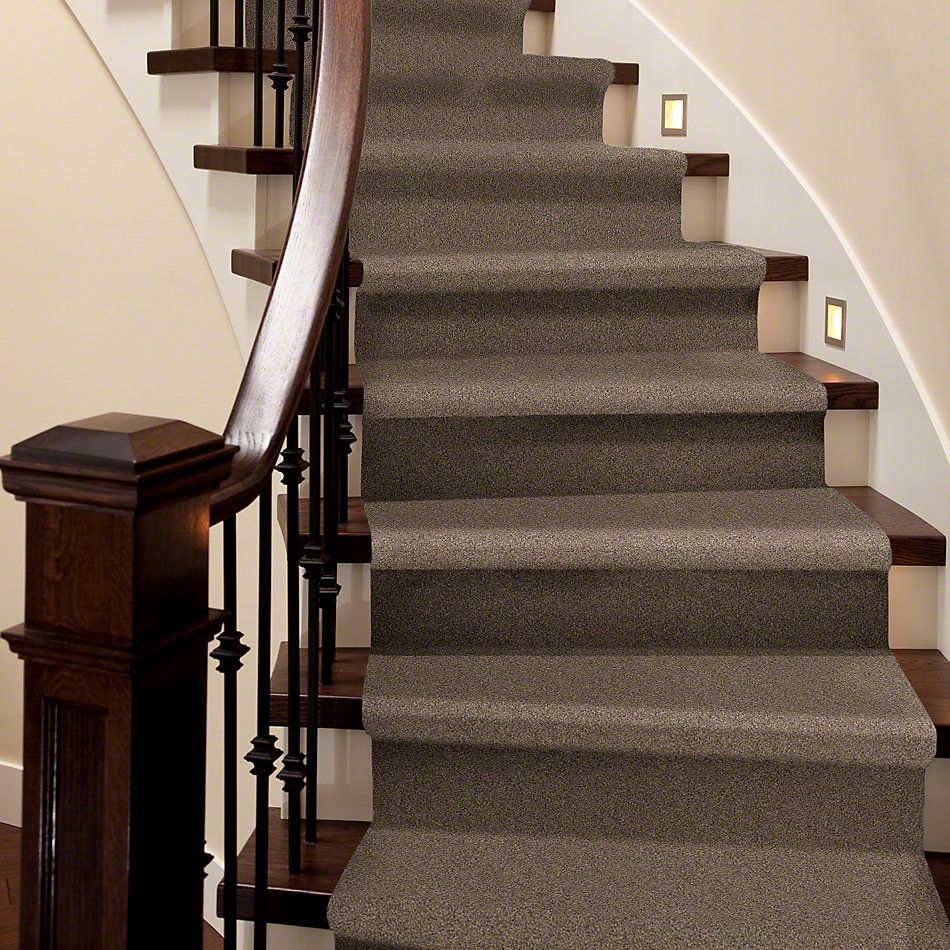 Shaw Floors Anso Colorwall Design Texture Gold Iced Coffee 00723_52T72
