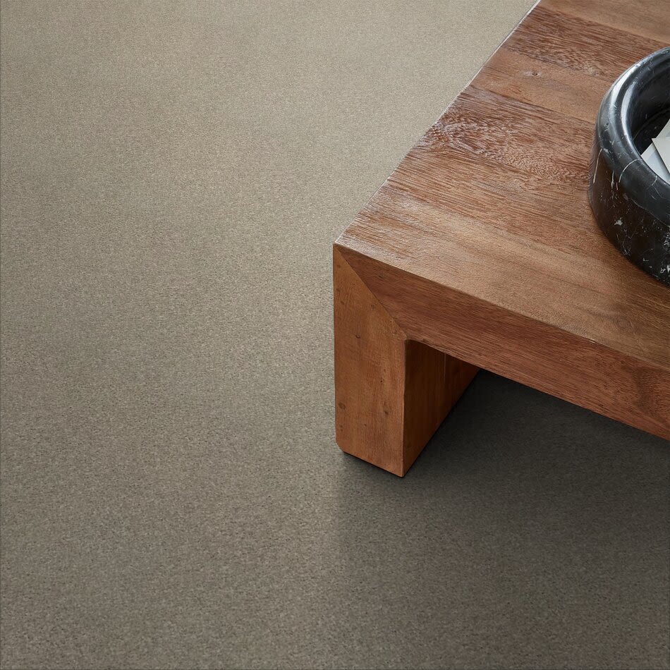 Shaw Floors Carpets Plus Value From Now On I Sandstone 00723_7B7Q6