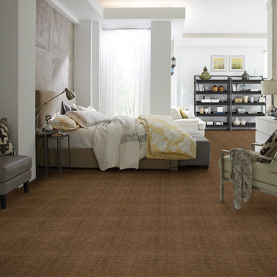 Shaw Floors Caress By Shaw Cashmere I Lg Tobacco Leaf 00723_CC09B