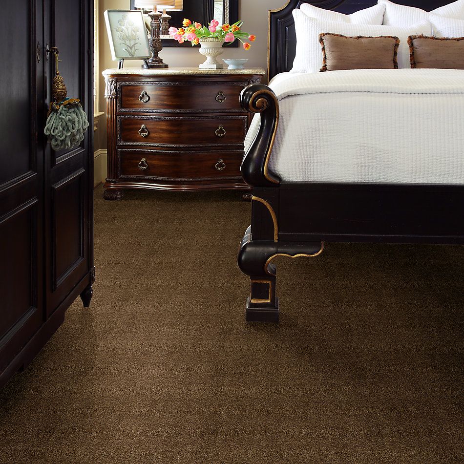 Shaw Floors Caress By Shaw Cashmere III Lg Tobacco Leaf 00723_CC11B