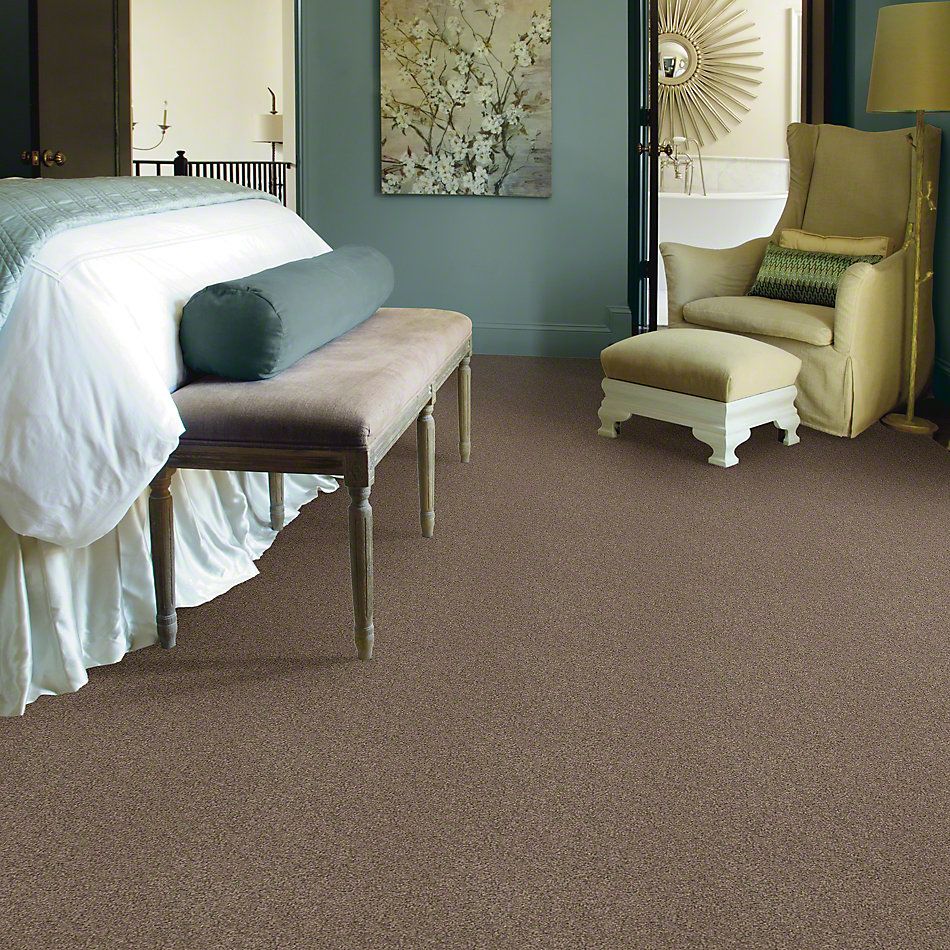 Shaw Floors Anso Colorwall Gold Texture Iced Coffee 00723_EA571