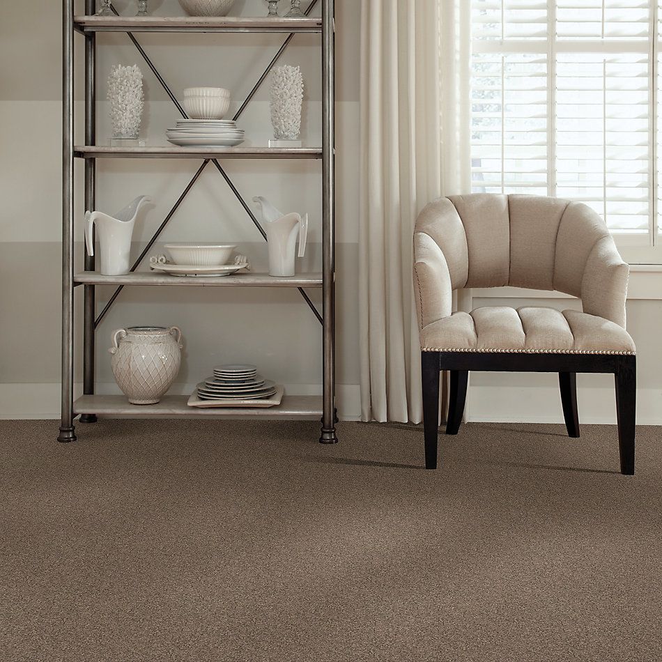 Shaw Floors Shaw On Shelf Arashi Beach Driftwood 00723_SOS84