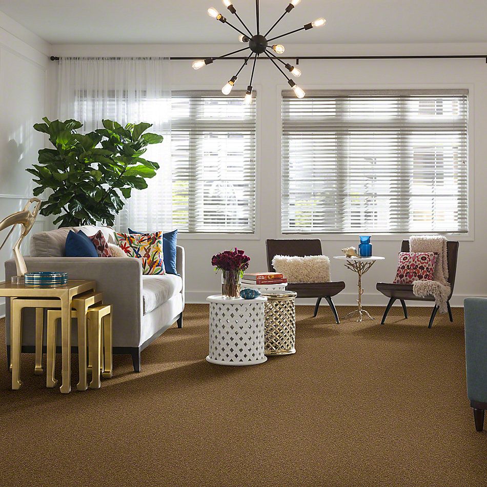 Anderson Tuftex SFA Way Better Toast Tan 852SF_00724